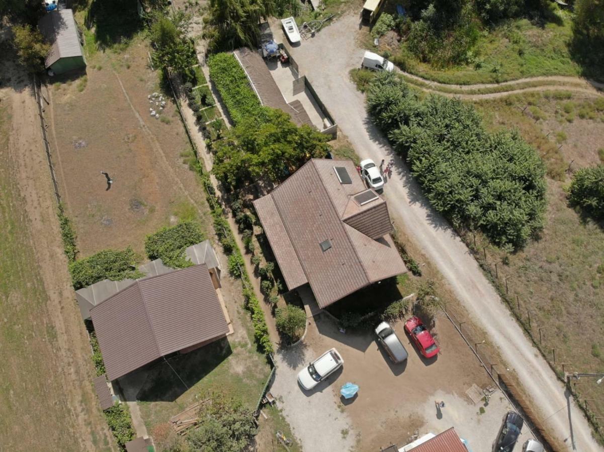 Pensiunea Yogi Dunavatu de Jos Exterior photo